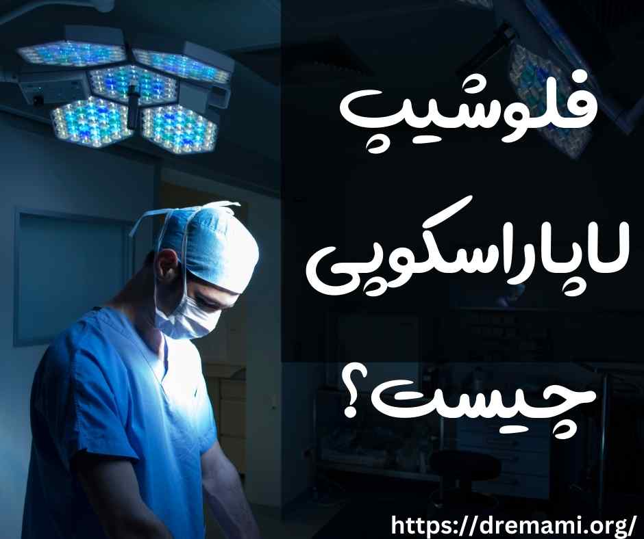 فلوشیپ لاپاراسکوپی چیست؟