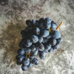خوردن انگور با رژیم کم کربوهیدرات