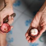 هر آنچه که باید در مورد ترنجبین بدانید