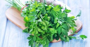 اسکوات بعد از غذا؛ تمرینی ساده برای کاهش سریع قند خون