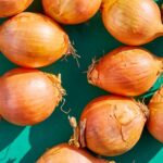 پیاز 101: حقایق تغذیه و اثرات سلامت shealthline.comhttps://www.healthline.com › غذاها