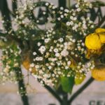 بعد از مرگ چه اتفاقی برای بدن می افتد؟medicalnewstoday.comhttps://www.medicalnewstoday.com › ...