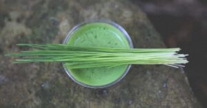 7 مزیت مبتنی بر شواهد Wheatgrasshealthline.comhttps://www.healthline.com › زمانی که...