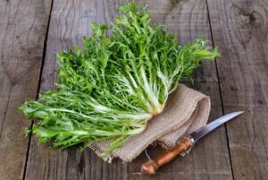 Endives - The Ultimate Guide And Its Health Benefits