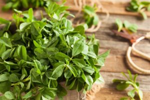 Fenugreek Leaves - Nutrition, Benefits, And Side Effects