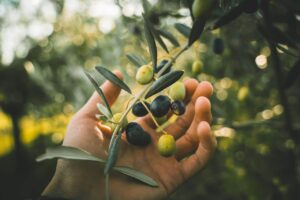 Benefits, Risks & More- HealthifyMe