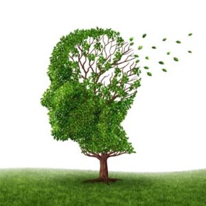 6 روش اثبات شده برای جلوگیری از زوال عقل