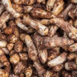 Taro Root: Nutritional Profile, Benefits- HealthifyMe