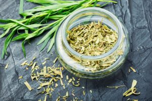 Tarragon - The Nutritional Herb With Multiple Health Benefits
