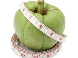 آیا گارسینیا کامبوجیا کار می کند؟