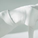 پیلاتس، HIIT، کاردیو یا وزنه؟ متخصصان بهترین را معرفی می‌کنند...