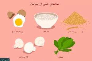 در رژیم غذایی کم کربوهیدرات چه اتفاقی برای بدن شما می‌افتد؟ rdiet.ir