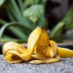 ۷ دلیل شگفت‌انگیز که نباید پوست موز را دور بریزید