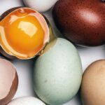 آلزایمر: خوردن تخم مرغ با تجمع کمتر مواد سمی مرتبط است...