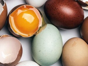 یائسگی دیررس: چه چیزی باعث تاخیر شما می شود؟