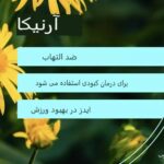 فواید آرنیکا و نحوه استفاده ایمن از آن برای تسکین درد