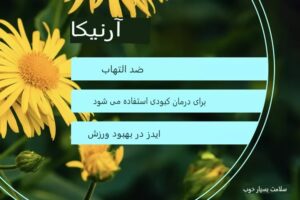 فواید آرنیکا و نحوه استفاده ایمن از آن برای تسکین درد