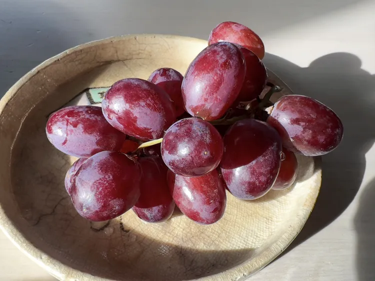 آیا انگور واقعاً یک ابرغذا است؟ در اینجا آنچه علم ... rdiet.ir