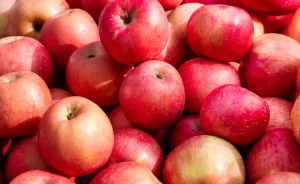 ۹ میوه که فیبر بیشتری از سیب دارند