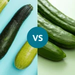 مقایسه کدو سبز و خیار: کدام یک فیبر و آب بیشتری دارد؟