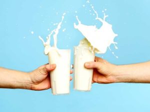 شیر A1 و A2 چیست و آیا واقعاً تفاوت دارند؟