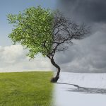 چه اتفاقی برای بدن و ذهن هنگام مرگ می‌افتد؟