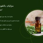 روغن رزماری: فواید، کاربردها، عوارض جانبی و موارد دیگر - rdiet.ir