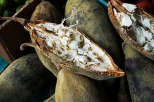 فواید میوه بائوباب