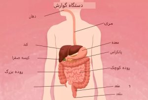 داروهای لاغری مورد تایید FDA از قبیل اورلیستات، ﻟﻮرﮐﺎﺳﺮﯾﻦ، نالترکسون