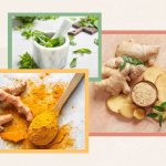 ۷ گیاه و ادویه که ممکن است به‌طور طبیعی سیستم ایمنی بدن را تقویت کنند