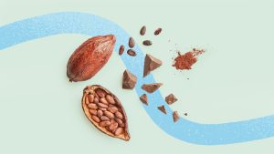 آیا مکمل‌های کاکائو می‌توانند التهاب مرتبط با افزایش سن را کاهش دهند؟