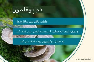 13 فایده قارچ دم بوقلمون و عوارض جانبی شایع
