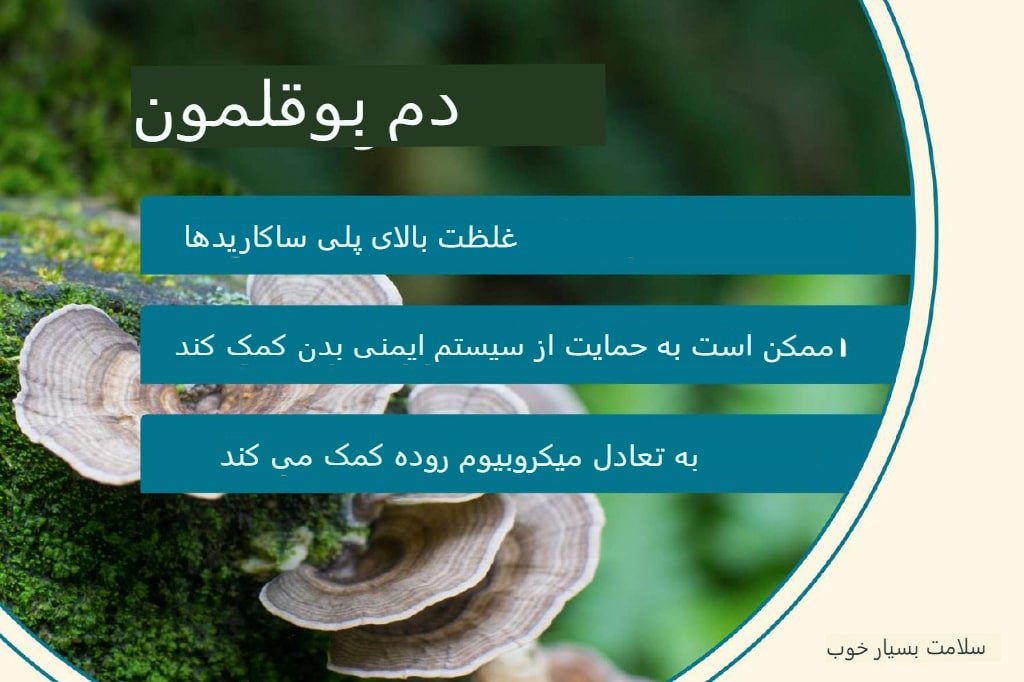 13 فایده قارچ دم بوقلمون و عوارض جانبی شایع