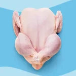 یک مطالعه انجام شده در ایالات متحده نشان می‌دهد که تقریباً یک پنجم عفونت‌های مجاری ادراری (UTIs) ممکن است با سویه‌های باکتری اشرشیا کُلی (E. coli) مرتبط باشند که از لحاظ ژنتیکی شبیه به نمونه‌های موجود در فرآورده‌های گوشتی، به‌ویژه مرغ، هستند. این یافته‌ها اهمیت رعایت دقیق اصول بهداشت در هنگام کار با گوشت خام را برای کاهش چشمگیر خطرات سلامتی یادآوری می‌کند؛ بنابراین، کارشناسان توصیه می‌کنند که مدیریت صحیح گوشت خام می‌تواند تأثیر زیادی در کم کردن احتمال ابتلا به عفونت‌های ادراری داشته باشد. ارتباط آلودگی گوشت و عفونت‌های ادراری بر اساس مطالعه اخیر صورت گرفته در کالیفرنیای جنوبی، آلودگی گوشت به باکتری E. coli می‌تواند عامل محرک نزدیک به یک پنجم (حدود ۱۸ درصد) از عفونت‌های مجاری ادراری باشد¹. این خطر بالقوه به‌طور خاص می‌تواند جوامع ساکن در محله‌های کم‌درآمد را بیشتر تحت تأثیر قرار دهد، که نیازمند توجه ویژه برنامه‌ریزان بهداشتی است. با این حال، نیاز به تحقیقات بیشتری وجود دارد تا ارتباط مستقیم علت و معلولی بین این دو اثبات شود؛ یک متخصص ارولوژی اظهار داشت که این نتیجه صرفاً حاکی از آن است که دام‌ها می‌توانند به‌عنوان یک منبع ذخیره عمل کرده و در مجموعه E. coli آلوده‌کننده انسان‌ها نقش داشته باشند، اما هنوز به‌طور قطعی مشخص نیست که آیا گوشت آلوده مستقیماً باعث این عفونت‌ها شده است یا خیر. یافته‌های کلیدی مطالعه و گروه‌های پرخطر پژوهشگران برای این بررسی، بیش از ۵۷۰۰ نمونه ادرار را از بزرگسالان مبتلا به عفونت ادراری در جنوب کالیفرنیا، بین سال‌های ۲۰۱۷ تا ۲۰۲۱، مورد آزمایش قرار دادند؛ آن‌ها همچنین نمونه‌های E. coli را از انواع گوشت‌های موجود در فروشگاه‌های محلی شامل مرغ، بوقلمون، گوشت خوک و گاو جمع‌آوری کردند. از میان شرکت‌کنندگان، ۸۸ درصد را زنان تشکیل می‌دادند و میانگین سنی آن‌ها ۵۰ سال بود. پژوهشگران با استفاده از توالی‌یابی DNA ژنومی، سویه‌های باکتریایی مختص حیوانات و انسان‌ها را در تمام نمونه‌ها تطبیق دادند تا منشاء احتمالی عفونت‌ها را شناسایی کنند. نتایج ژنتیکی و سهم انواع گوشت تحلیل‌های ژنتیکی نشان داد که تقریباً ۱۷.۷ درصد از عفونت‌های ادراری به سویه‌های E. coli با منشاء حیوانی مرتبط بوده‌اند که قویاً عفونت‌های ناشی از مواد غذایی را مطرح می‌کند. میزان آلودگی در میان زنان بیشتر از مردان بود (۱۹.۷ درصد در مقابل ۸.۵ درصد)؛ به این معنی که زنان تقریباً دو برابر بیشتر از مردان در معرض خطر داشتن عفونت ادراری مرتبط با E. coli حیوانی قرار داشتند. همچنین، در بین مردان، افراد مسن‌تر احتمال بیشتری داشت که نتیجه آزمایش ادرارشان برای سویه‌های مرتبط با حیوانات مثبت شود؛ علاوه بر این، افراد ساکن در مناطق کم‌درآمد، ۶۰ درصد بیشتر از ساکنین مناطق پردرآمد، در معرض خطر ابتلا به عفونت ادراری ناشی از غذا قرار داشتند. مرغ و بوقلمون در کانون توجه از میان نمونه‌های گوشت بررسی‌شده، بوقلمون و مرغ بیشترین میزان آلودگی با باکتری E. coli را به خود اختصاص دادند. محققان به این نکته اشاره کردند که یکی از محدودیت‌های این مطالعه، عدم توسعه مدل ژنومی با استفاده از DNA باکتری E. coli استخراج شده از نمونه‌های گوشت گاو بوده است؛ این عامل ممکن است باعث شده باشد که سهم واقعی E. coli موجود در گوشت گاو در ایجاد عفونت انسانی، کمتر از میزان واقعی برآورد شود. چگونگی انتقال E. coli از گوشت به مجاری ادراری E. coli نوعی باکتری است که معمولاً در دستگاه گوارش انسان و حیوانات یافت می‌شود و سویه‌های مختلفی دارد که برخی از آن‌ها بی‌ضرر بوده و برخی دیگر می‌توانند بیماری‌زا باشند. داده‌های موجود نشان می‌دهد که E. coli حاصل از منابع غذایی و غیر غذایی، عامل اصلی اکثر عفونت‌های ادراری است². این عفونت‌ها گاهی اوقات از طریق یک مسیر مشترک بین انسان و دام (زئونوز) منتقل می‌شوند، به این معنی که باکتری می‌تواند از حیوانات و از طریق زنجیره غذایی به انسان‌ها سرایت کند³. مکانیسم‌های انتقال و توصیه‌های پیشگیرانه یک متخصص ارولوژی توضیح می‌دهد که هنگامی که افراد گوشت آلوده را لمس می‌کنند یا مصرف می‌نمایند، این باکتری‌ها ممکن است ابتدا در روده بزرگ کلونیزه شوند؛ سپس، باکتری‌ها می‌توانند به سمت مجاری ادراری صعود کرده و باعث ایجاد عفونت شوند⁴. یک متخصص ایمنی مواد غذایی توضیح می‌دهد که این انتقال می‌تواند از چند طریق رخ دهد؛ مصرف گوشت نیم‌پز یا دست زدن به گوشت خام و رفتن به سرویس بهداشتی بدون شستن دست‌ها قبل از آن، می‌تواند به انتقال باکتری منجر شود. همچنین، تمیز کردن ناحیه تناسلی و مقعدی در زنان از عقب به جلو، می‌تواند موجب انتقال باکتری از ناحیه مقعد به مجرای ادرار شود. اهمیت عفونت‌های ادراری و پیامدهای سلامتی تخمین زده می‌شود که E. coli به‌عنوان عامل اصلی عفونت‌های باکتریایی، مسئول میلیون‌ها مورد عفونت ادراری در سال باشد که اغلب در زنان رخ می‌دهد. علائم شایع عفونت ادراری شامل درد یا سوزش هنگام ادرار، افزایش تکرر یا فوریت ادرار، کدر یا بدبو شدن ادرار و ناراحتی در قسمت تحتانی شکم است⁵. یک متخصص توصیه می‌کند که در صورت مشاهده هر یک از این علائم، باید در اسرع وقت به پزشک مراجعه شود؛ زیرا اکثر عفونت‌های ادراری ساده که زود تشخیص داده و درمان می‌شوند، پیش‌آگهی بسیار خوبی دارند. خطرات جدی عفونت ادراری و سپتی‌سمی اگرچه عفونت‌های ادراری معمولاً خفیف هستند، اما هزینه‌های بهداشتی و بهره‌وری قابل توجهی را تحمیل کرده و می‌توانند منجر به عوارض جدی شوند. بیش از نیمی از موارد سپتی‌سمی (مسمومیت خون) ناشی از E. coli، از عفونت‌های ادراری آغاز می‌شوند. سپتی‌سمی وضعیتی است که در آن بدن برای مبارزه با عفونت، بیش از حد واکنش نشان می‌دهد و منجر به التهاب خطرناک می‌شود؛ این التهاب می‌تواند جریان خون ضعیف و لخته‌های خون را در پی داشته باشد و در صورت عدم درمان سریع، می‌تواند کشنده باشد. بنابراین، عفونت‌های ادراری یک نگرانی جدی برای عموم مردم، به‌ویژه زنان، سالمندان و افراد دارای نقص ایمنی محسوب می‌شوند. راهکارهای کاهش انتقال E. coli برای کاهش خطر ابتلا به عفونت‌های ادراری ناشی از E. coli منتقله از مواد غذایی، مرکز کنترل و پیشگیری از بیماری‌ها (CDC) توصیه‌های مهمی را ارائه می‌دهد. این توصیه‌ها شامل شستن کامل دست‌ها پس از دست زدن به گوشت خام، ضدعفونی کردن هرگونه سطح آشپزخانه که در معرض گوشت خام قرار گرفته و پختن گوشت تا دمای داخلی توصیه‌شده برای از بین بردن تمام باکتری‌ها است. همچنین باید از آلودگی متقاطع بین گوشت‌های خام و سایر مواد غذایی، به‌ویژه غذاهای آماده خوردن، در آشپزخانه و یخچال جلوگیری کرد. نتایج مهم برای سلامت عمومی در حالی که تحقیقات قبلی نیز ارتباطی بین E. coli و عفونت‌های ادراری را نشان داده بودند، یافته‌های جدید تأکید می‌کنند که عفونت‌های ناشی از غذا، به‌طور نامتناسبی، افراد ساکن در مناطق کم‌درآمد را تحت تأثیر قرار می‌دهند. نویسندگان این مطالعه معتقدند که این یافته‌ها باید مبنای تدوین راهبردهای بهداشت عمومی قرار گیرند. یک متخصص ارولوژی اظهار داشت که میزان همپوشانی سویه‌ها غیرمنتظره و برای سلامت عمومی بسیار مهم است، اما این یافته‌ها همبستگی را نشان می‌دهند نه رابطه علت و معلولی اثبات‌شده. با این حال، وی افزود که از دیدگاه بهداشت عمومی، این مطالعه بر اهمیت بهبود استانداردهای ایمنی مواد غذایی، کاهش آلودگی E. coli در عرضه گوشت و رسیدگی به نابرابری‌های اجتماعی و اقتصادی که خطر عفونت را افزایش می‌دهند، تأکید می‌کند.