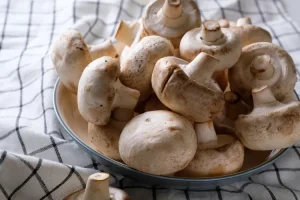 قارچ‌های دارویی با خواص سلامتی برجسته