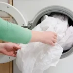 راهنمای کامل خلاص شدن از شر ساس‌ها