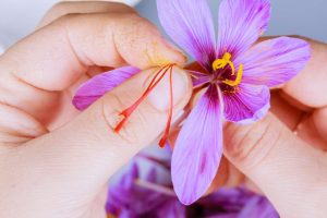 تأثیر زعفران بر خواب، خلق‌وخو و سلامت قلب