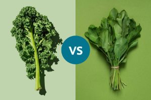 کلم کیل در مقابل اسفناج: کدام سبزی برگ‌دار مغذی‌تر است؟ rdiet.ir