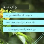 چگونه از چای سنا استفاده کنیم و آیا ایمن است؟