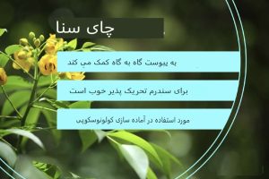 چگونه از چای سنا استفاده کنیم و آیا ایمن است؟