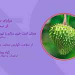 ۷ فایده سور‌ساپ (گراویولا) و حقایق تغذیه‌ای آن