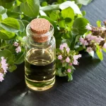 ۶ مزیت و کاربرد درمانی روغن پونه کوهی یا اورگانو