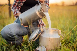 چرا نوشیدن شیر خام می‌تواند برای سلامتی شما خطرناک باشد؟