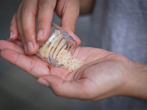 شناخت کامل کاتینون‌های سنتتیک ("نمک‌های حمام"): اثرات، اعتیاد و درمان