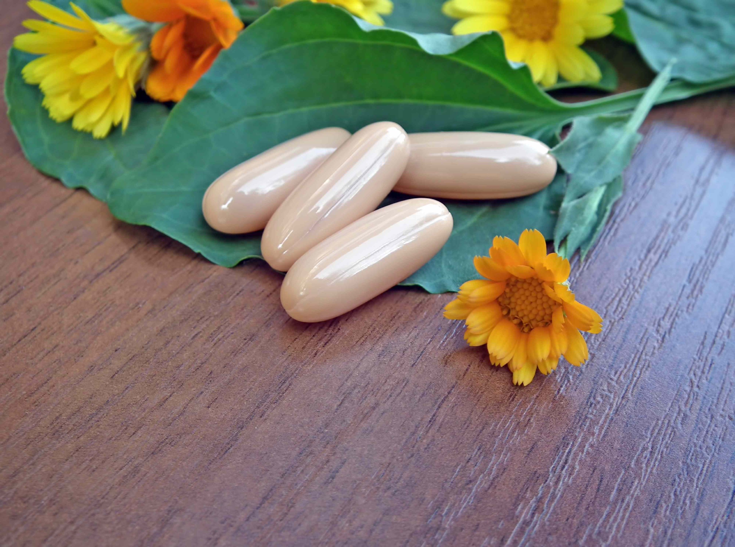 تأثیرات استفاده روزانه از گیاه دارویی همیشه بهار (کالاندولا) بر بدن