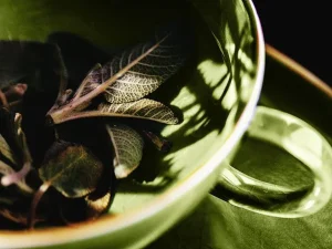 آیا مریم گلی (Sage) می‌تواند به تسکین علائم یائسگی کمک کند؟