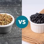 عدس در مقابل لوبیا: کدام یک پروتئین و فیبر بیشتری فراهم می‌کند؟