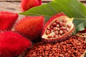 غلبه بر احساس گناه در نقش مراقب: چگونه آن را پشت سر بگذاریم