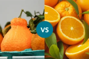 سومو سیتروس در برابر پرتقال: کدام منبع بهتری برای ویتامین سی است؟