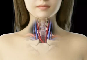 کنجد در رژیم کتوژنیک کربوهیدرات، تغذیه و موارد دیگر